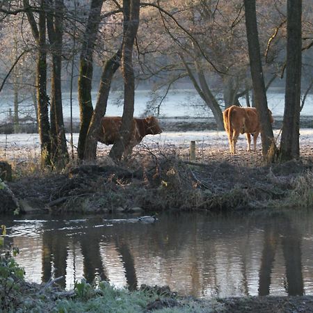 Le Gite De L Ourthe Ortheuville Exteriér fotografie