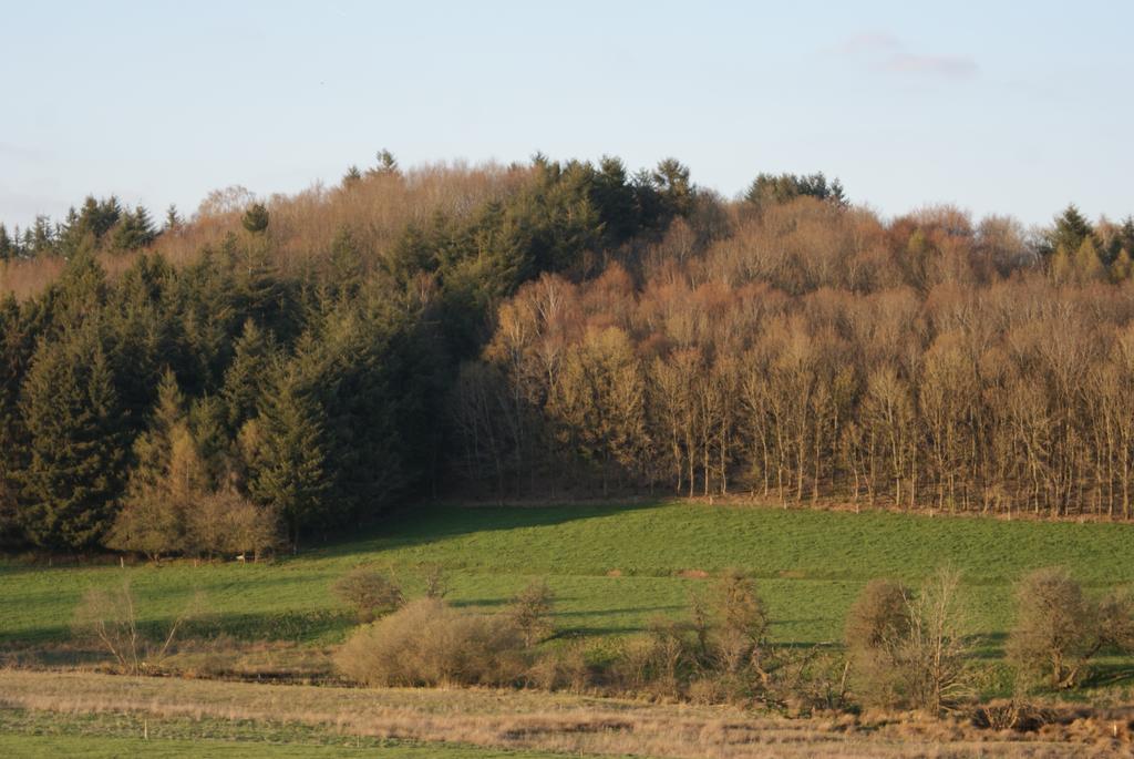 Le Gite De L Ourthe Ortheuville Exteriér fotografie