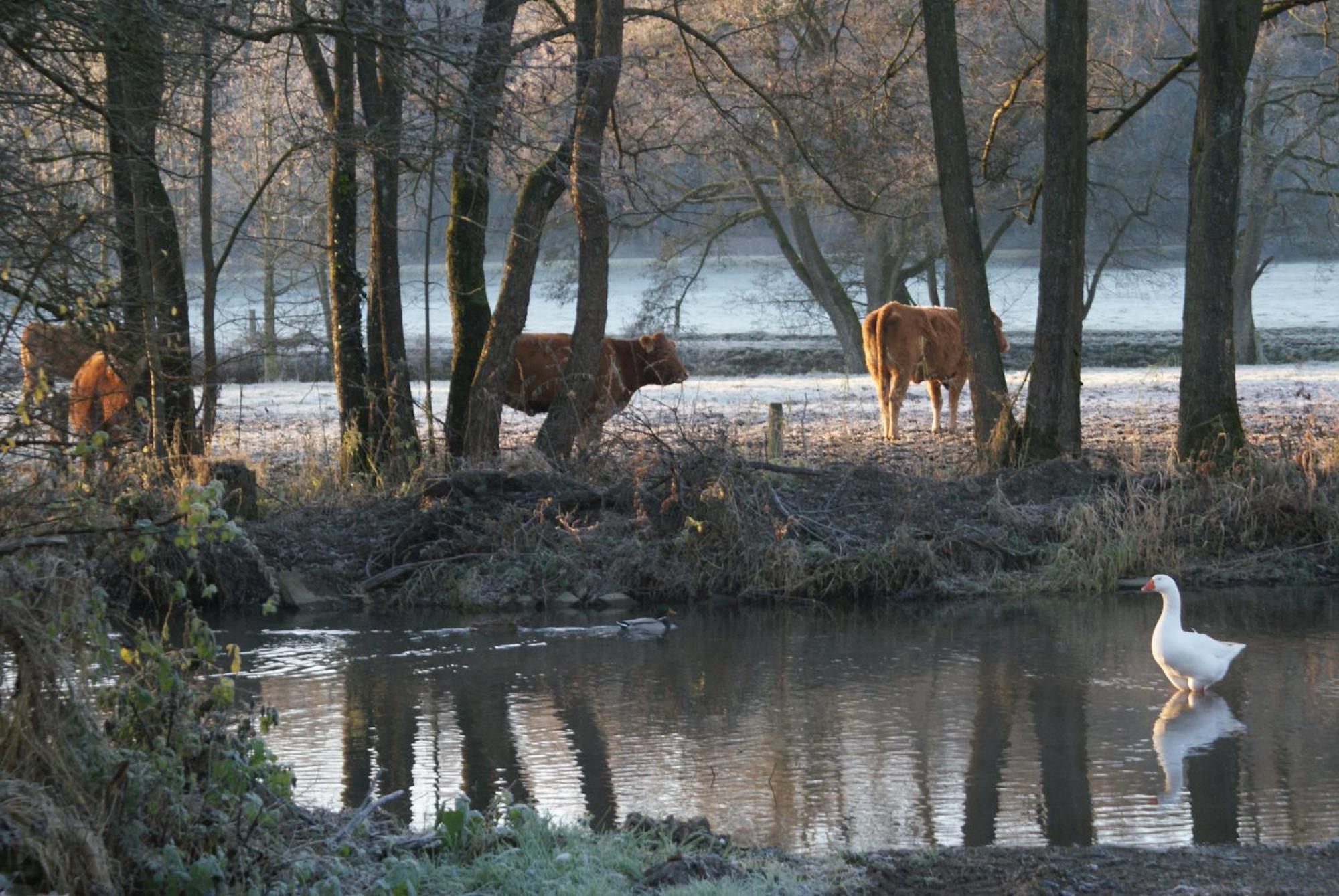Le Gite De L Ourthe Ortheuville Exteriér fotografie