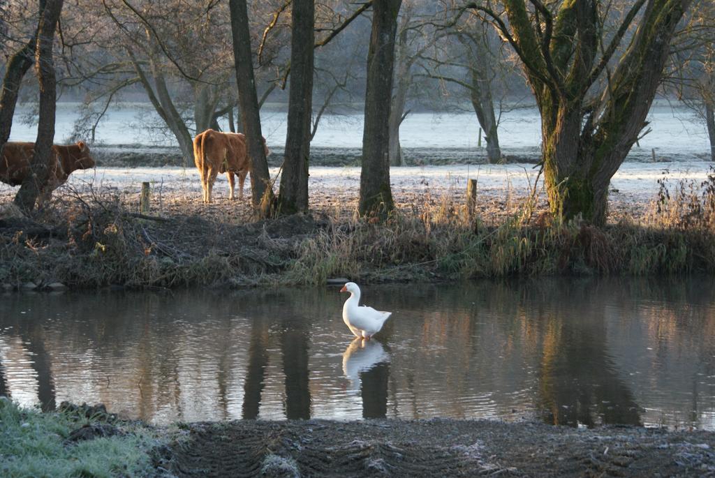 Le Gite De L Ourthe Ortheuville Exteriér fotografie