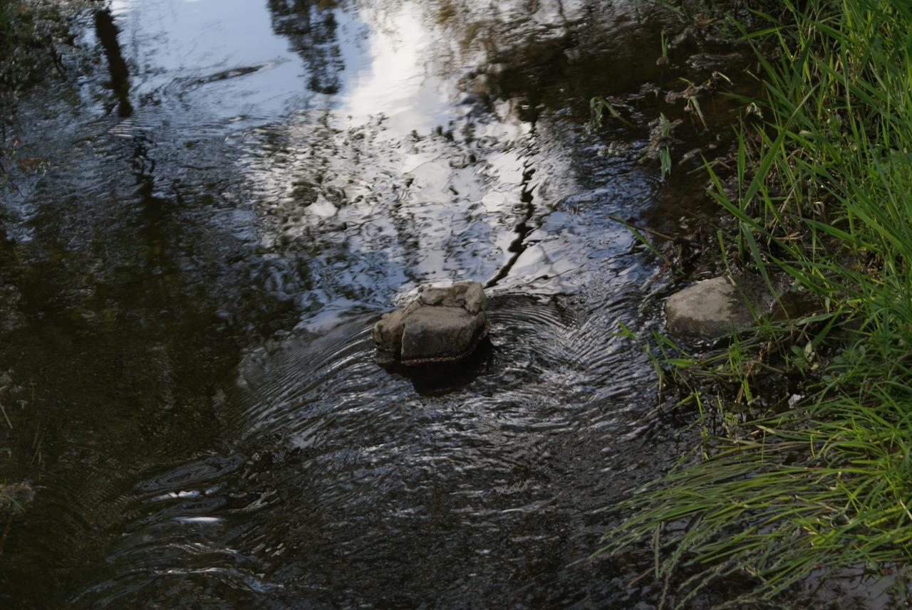 Le Gite De L Ourthe Ortheuville Exteriér fotografie