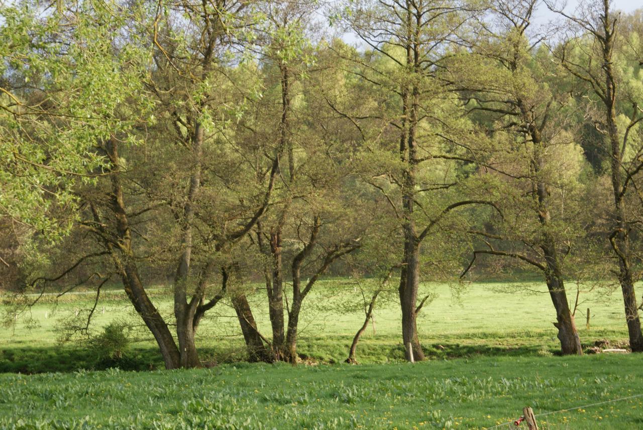Le Gite De L Ourthe Ortheuville Exteriér fotografie