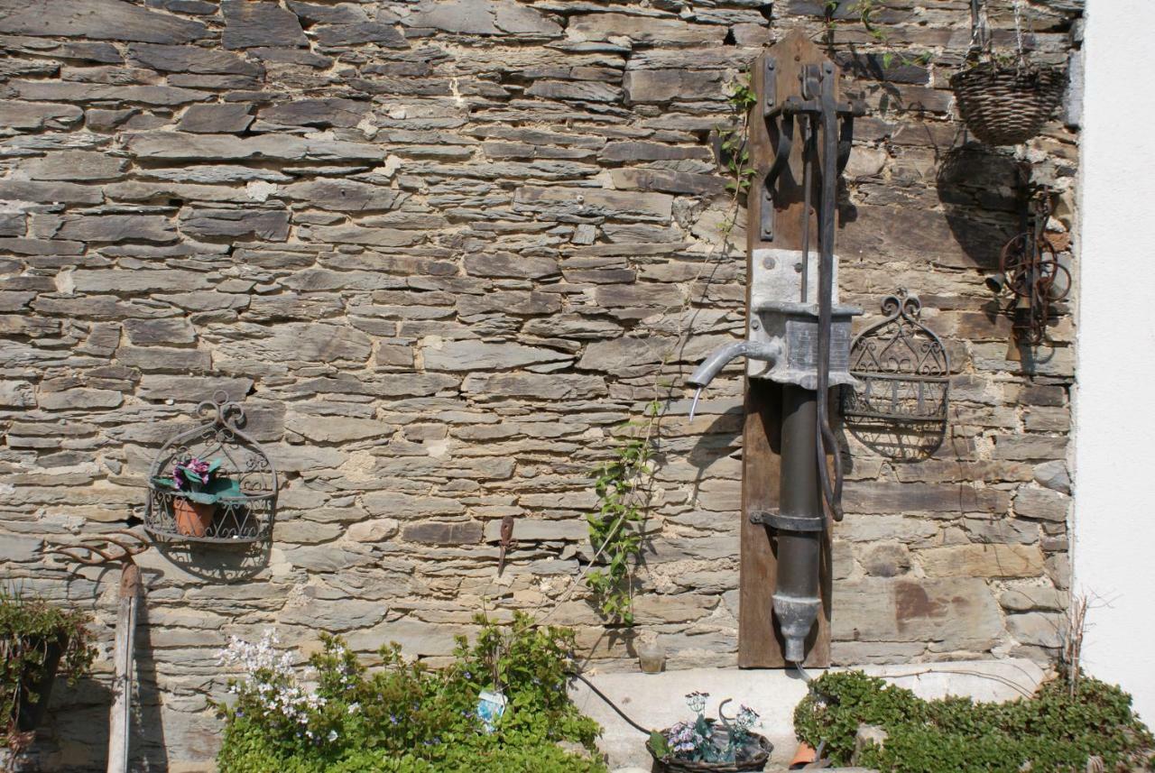 Le Gite De L Ourthe Ortheuville Exteriér fotografie